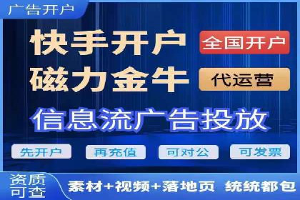 SEM运营公司经典案例点评